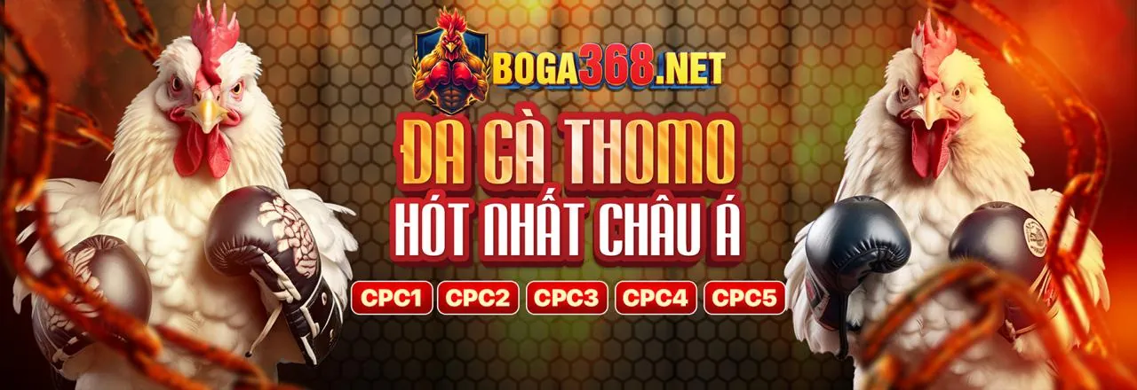 Hình ảnh đại diện cho Điều khoản dịch vụ của bet68, thể hiện sự chuyên nghiệp và minh bạch.