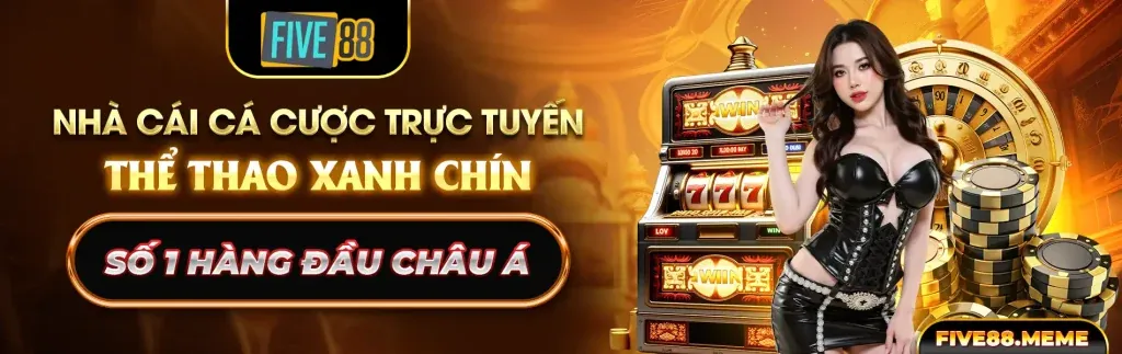 Chiến thuật và mẹo chơi đá gà hiệu quả